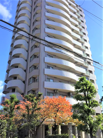 ベルヴィ西今川  公寓